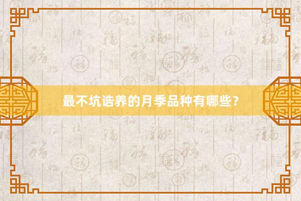 最不坑诰养的月季品种有哪些？